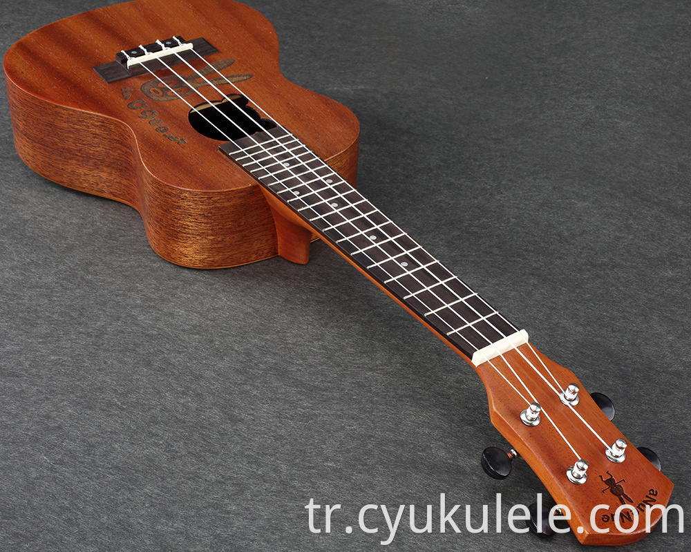 ukulele25